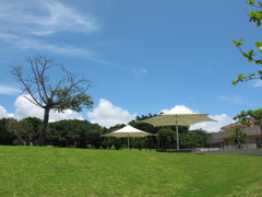 美ら海水族館の公園 - ②