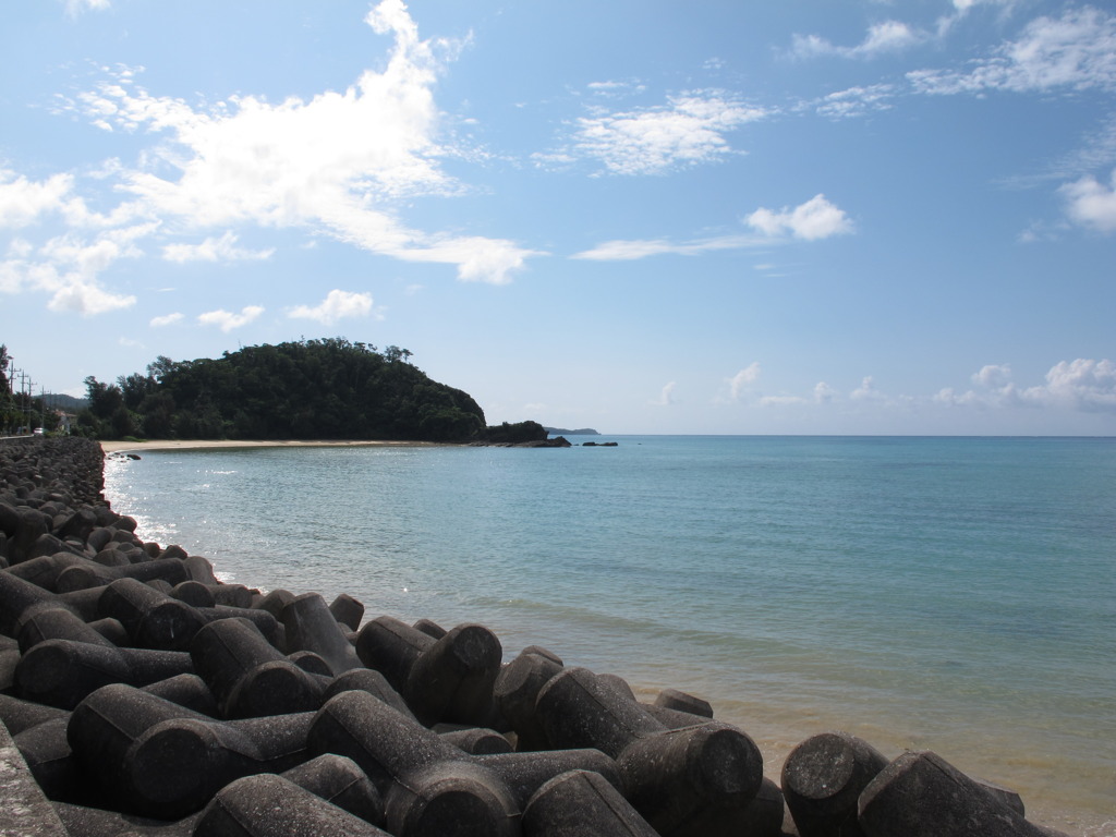 ジュゴンの海