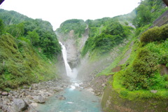 IMGP2384