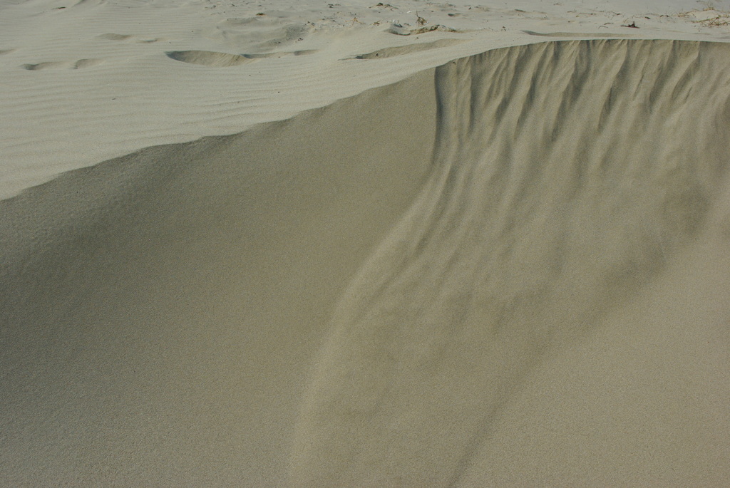 IMGP0731