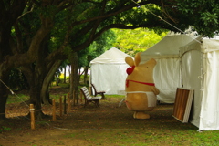 IMGP2951
