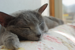IMGP1647