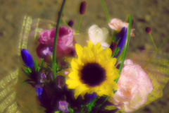IMGP3001