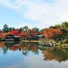 池泉回遊式庭園