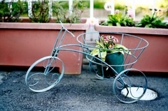 お花を乗せた三輪車