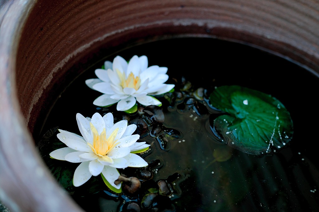 造花でも美しく