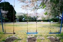 桜とブランコ三兄弟