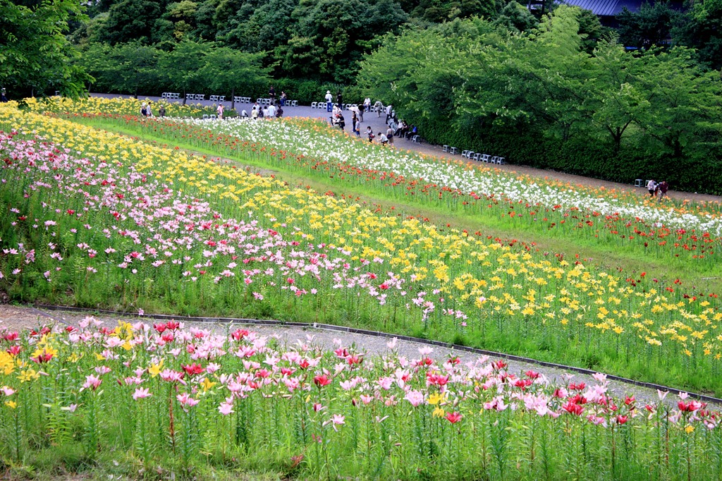 美しき大地