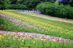 美しき大地