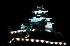夜の掛川城 