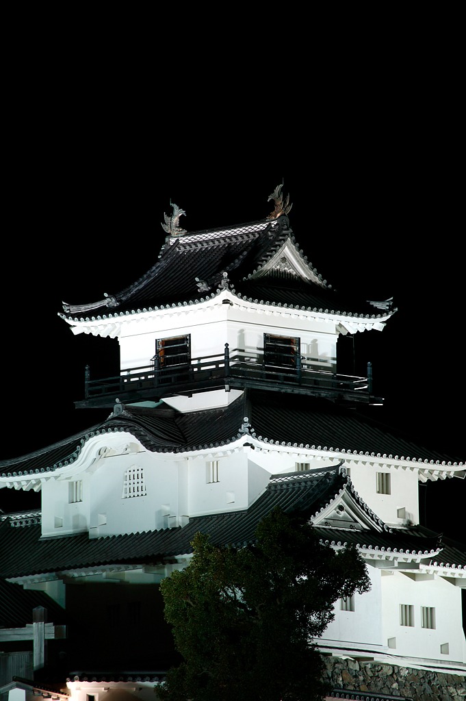 夜の掛川城（寄り）