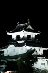 夜の掛川城（寄り）
