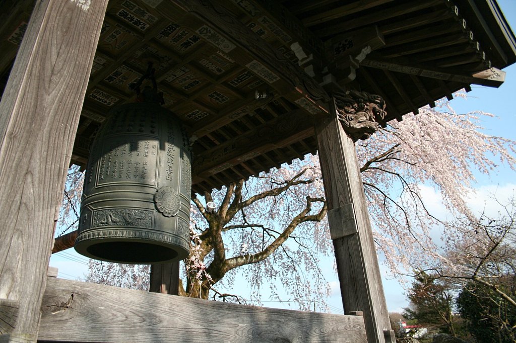 鐘と桜