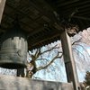 鐘と桜