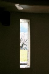 隙間の春