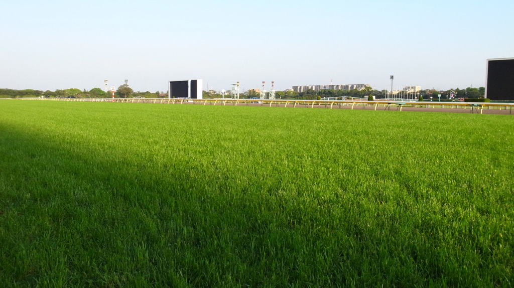 東京競馬場４