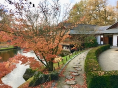 秋、日本庭園にて