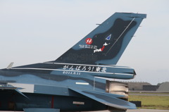 三沢基地航空際　2011