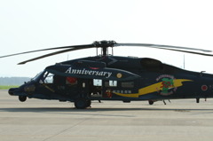 松島基地航空際 2010