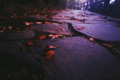 秋の公園　石畳