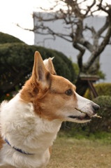 2011