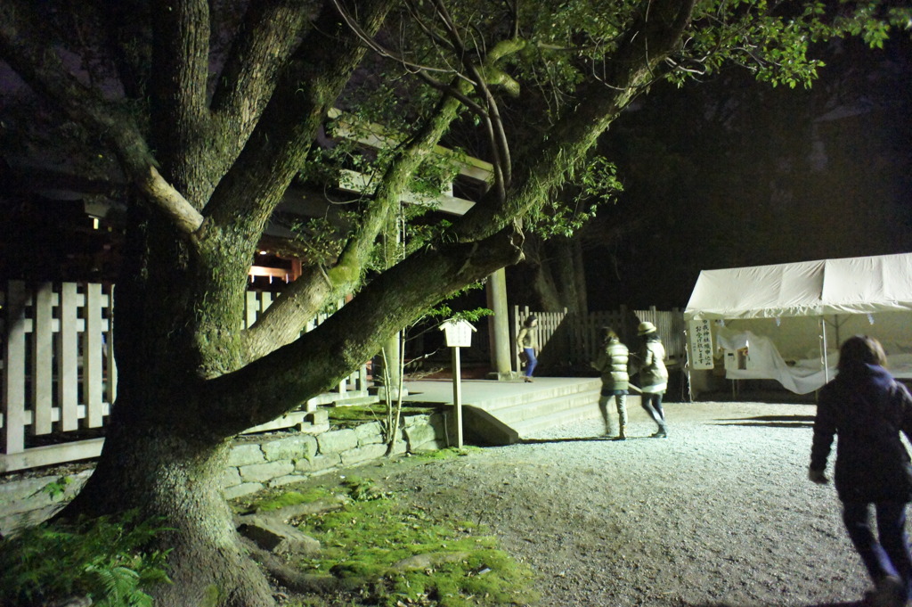 Nex-3テスト　IS03200〜12800