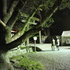Nex-3テスト　IS03200〜12800