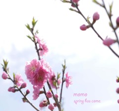 spring has come2