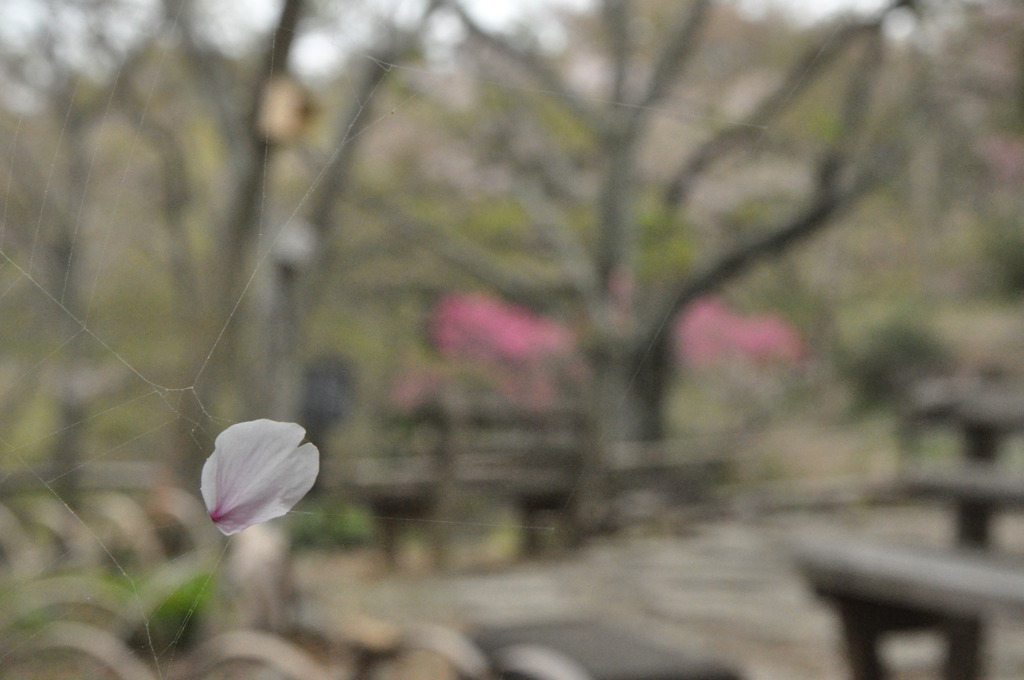 「時を止めて１」