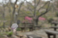 「時を止めて１」