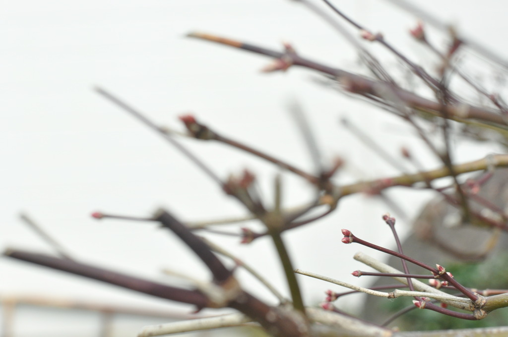 「行き先は？」