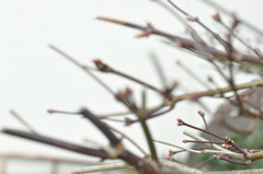 「行き先は？」