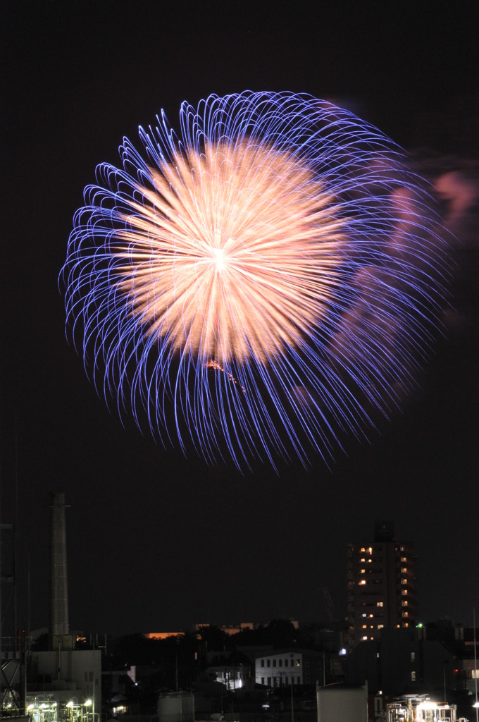 hanabi6