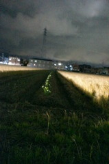 DSC00131