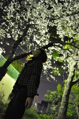 「また来年ね。。。」