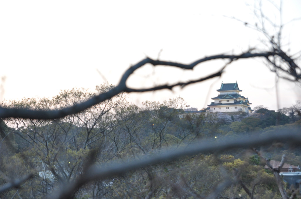 「遙か彼方２」