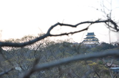 「遙か彼方２」