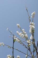 「ぐんぐん育つ」