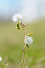 「二つのぬくもり」