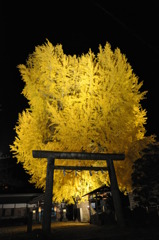 「登竜門」