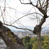 「始まりの構図」