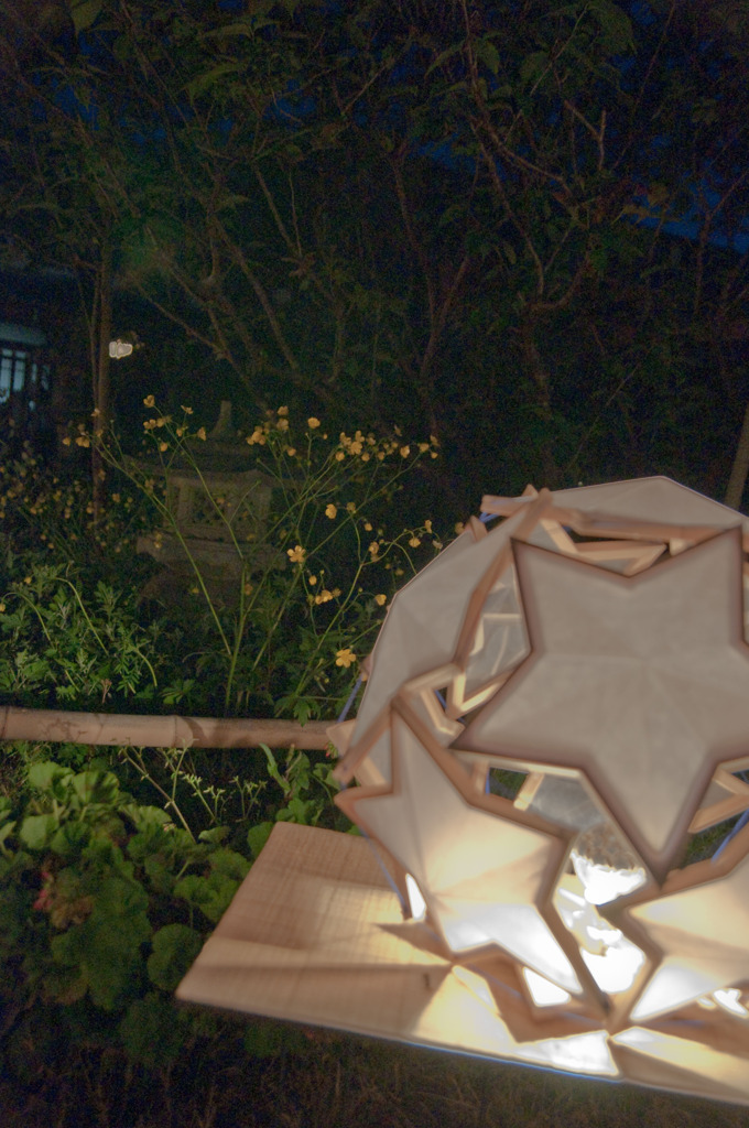 「星と菜の花」