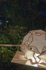 「星と菜の花」