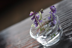 「小さな主役」