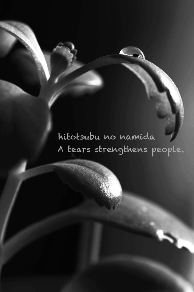 雫 B&W n