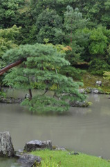 「波紋」
