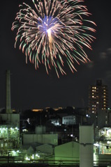 hanabi1