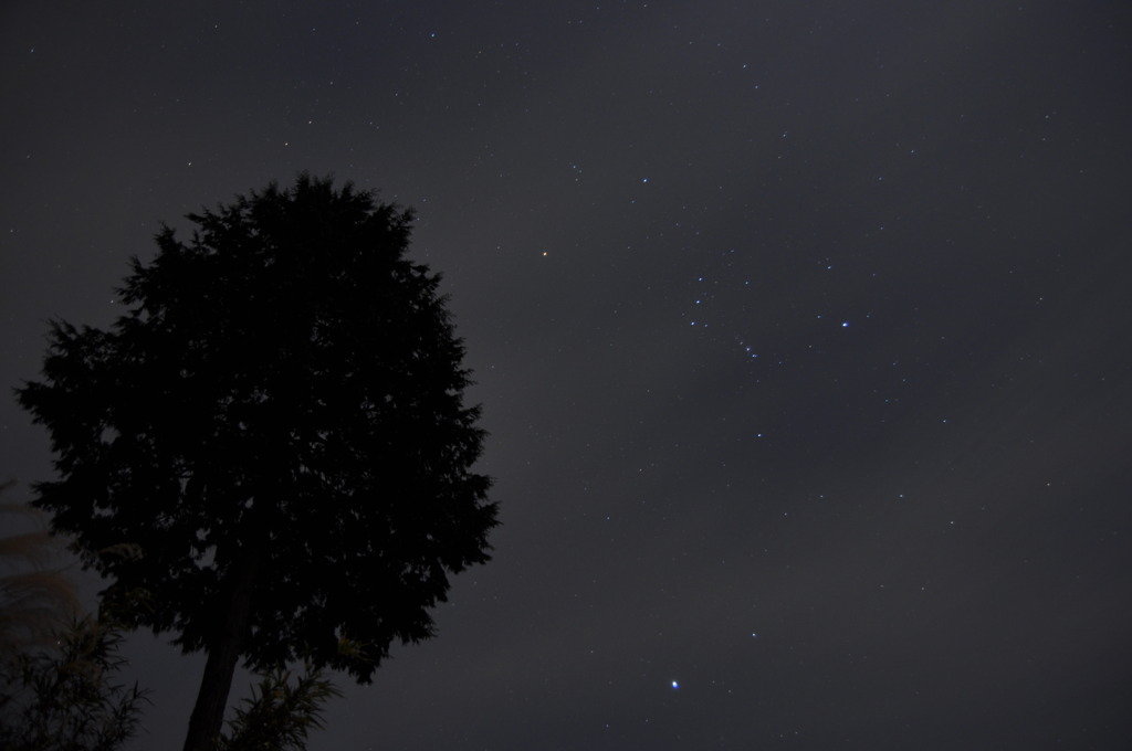 「Orion」