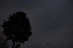 「Orion」