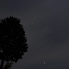 「Orion」